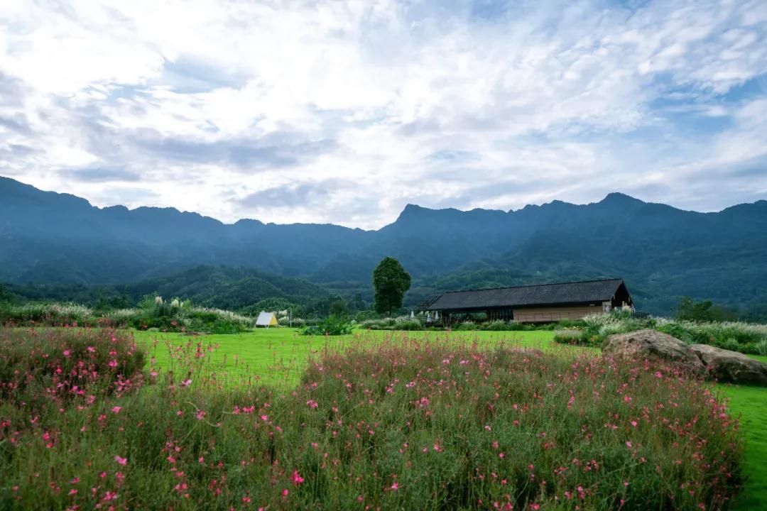 峨眉·高桥小镇