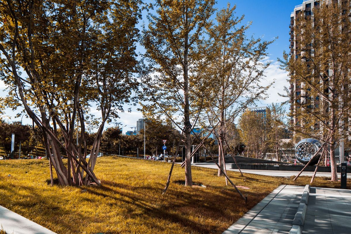 石景山中海大厦CD座景观设计