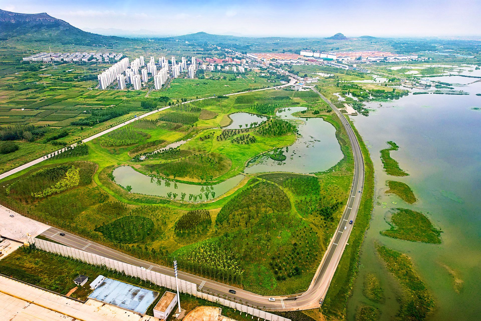 东平县东平湖（水浒古镇至泰安港老湖码头段）生态防护林建设项目