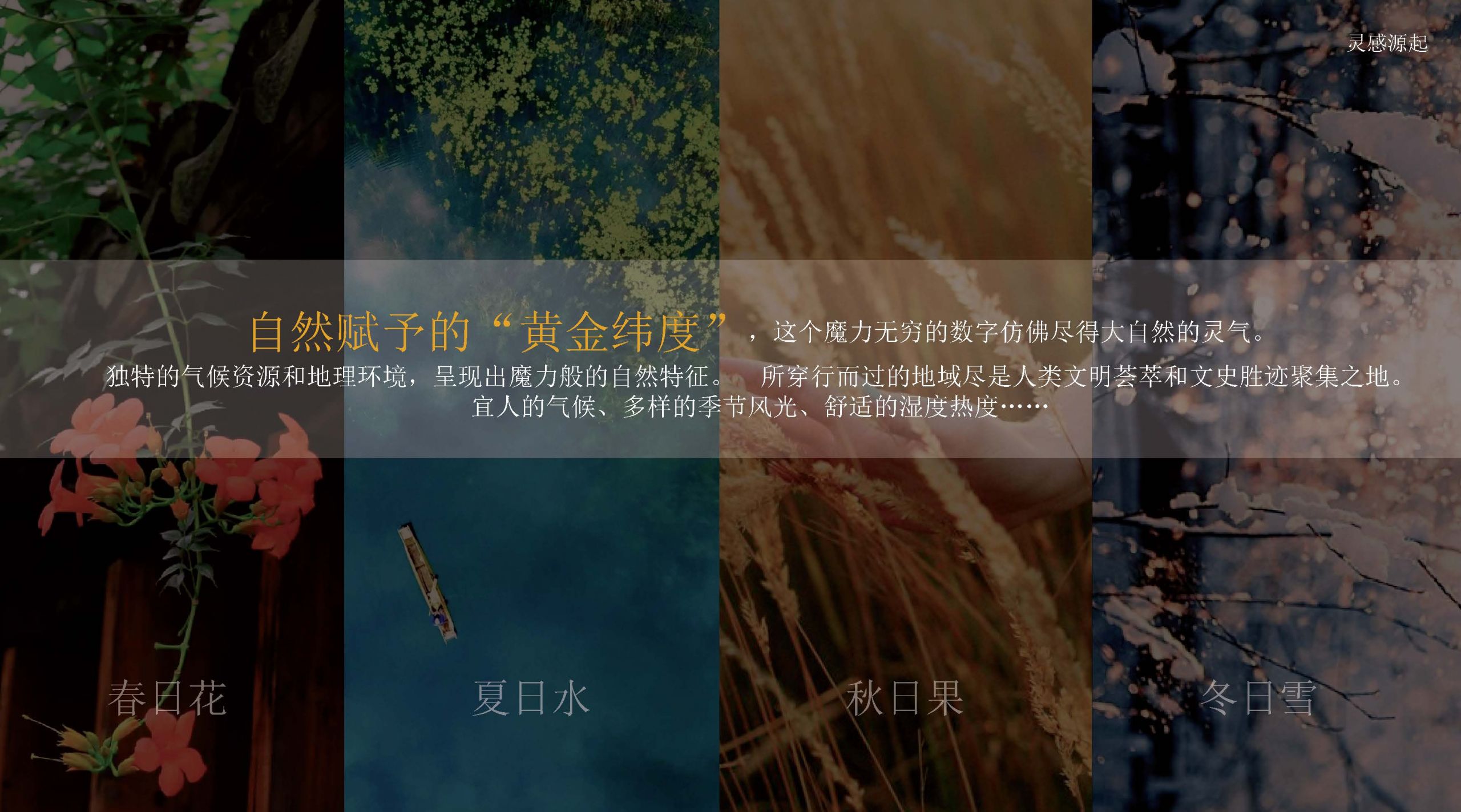 宸望华府