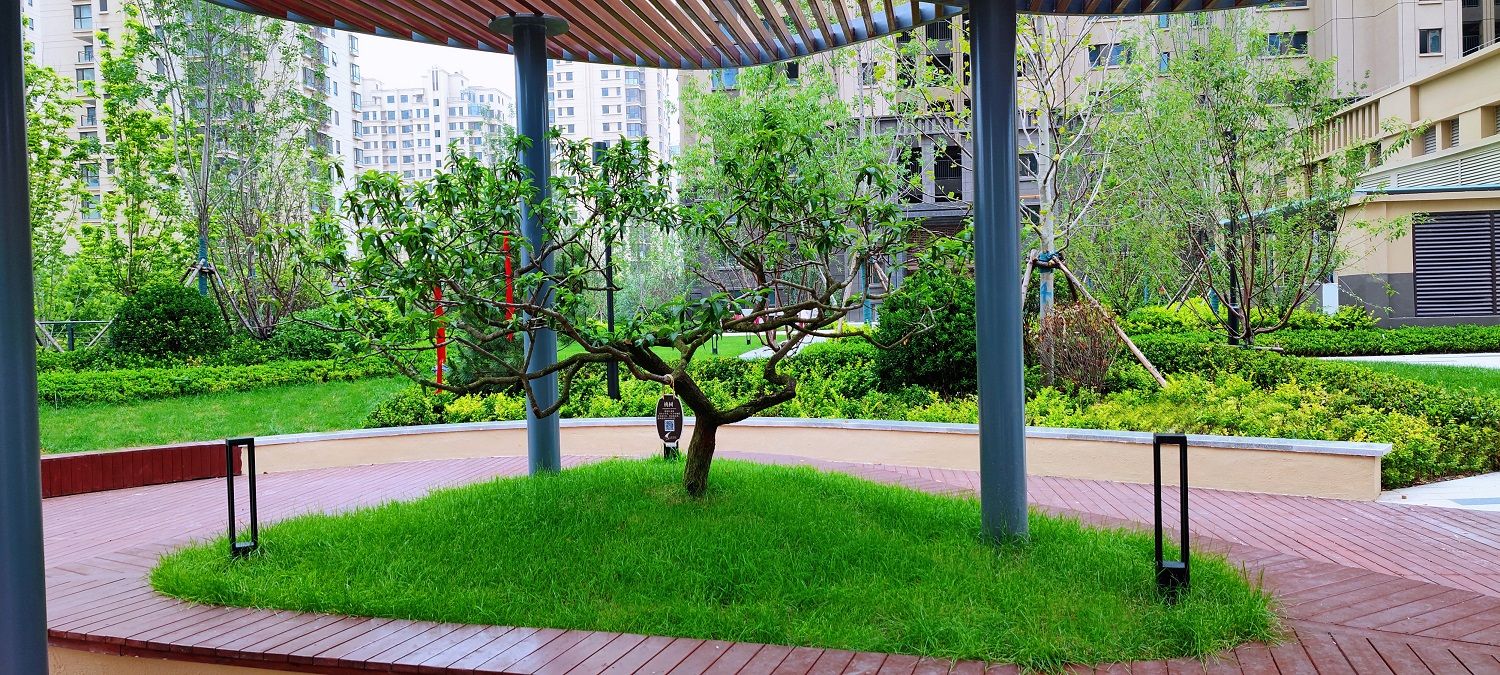 自在香槟（二期）项目园林景观工程（一标段）
