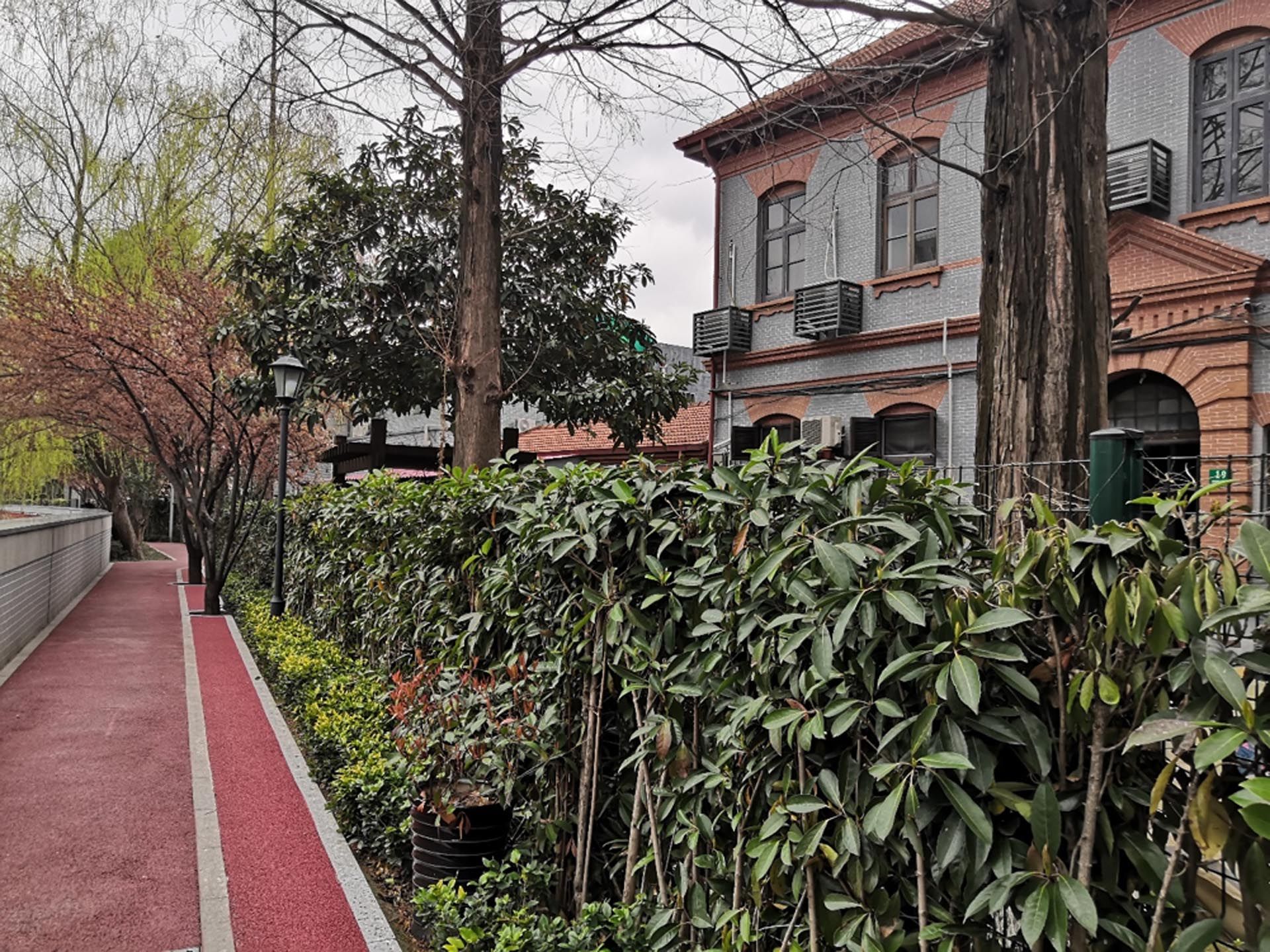华东政法大学长宁校区校园景观及滨水开放空间整体提升
