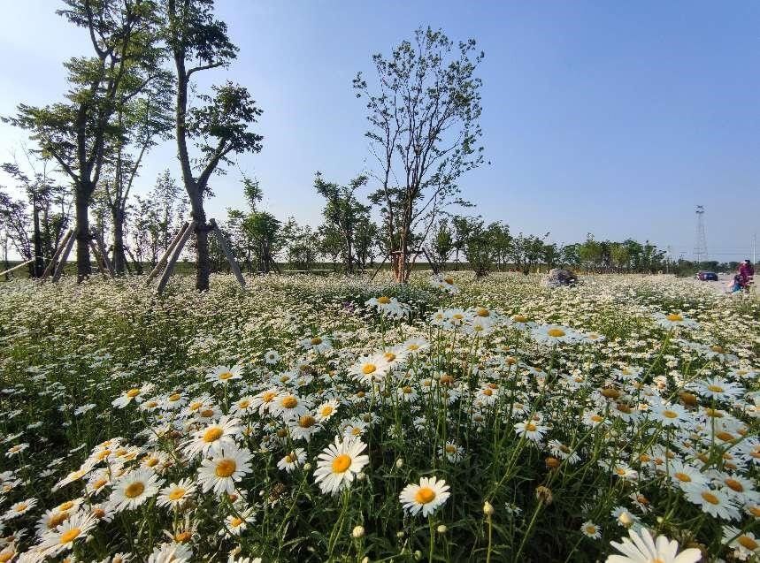 蕲春县雷溪河整治二期及蕲河综合整治工程PPP项目