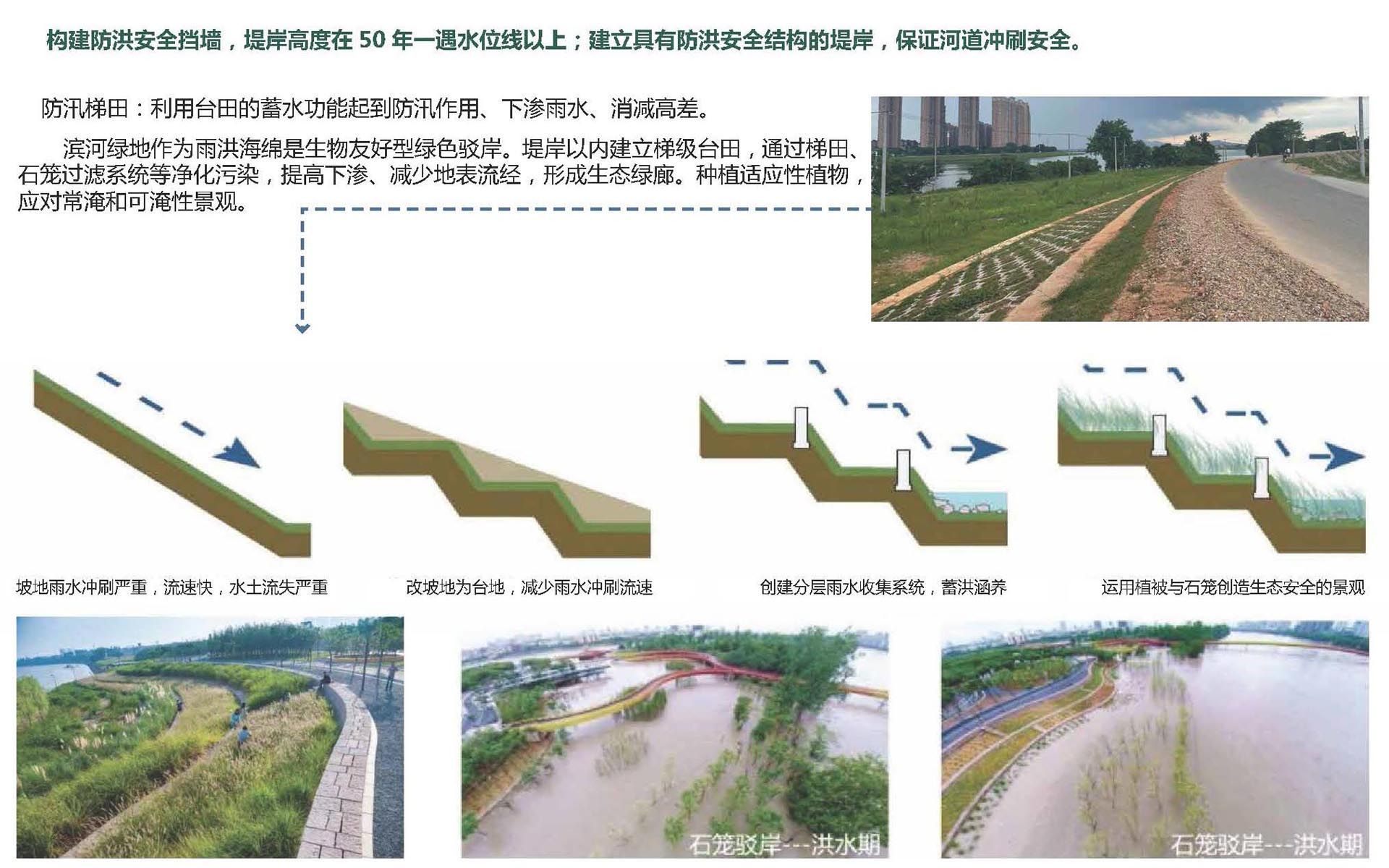 崇仁县光明北大道湿地公园工程项目