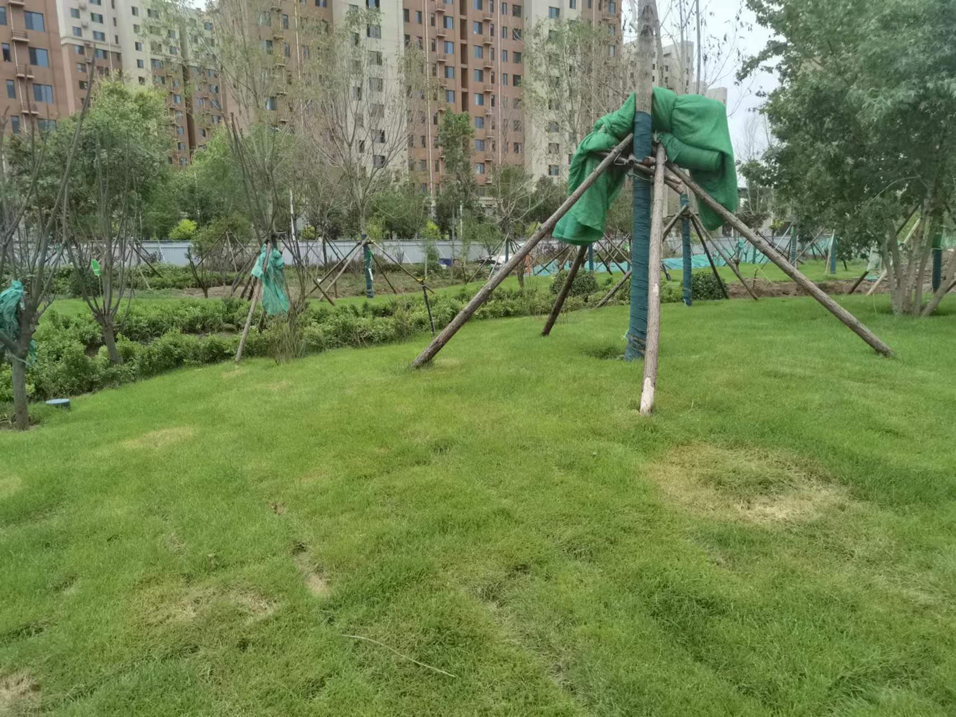 阜平县阜东新区社区公园