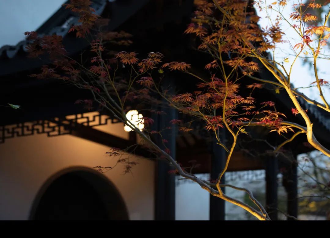 上海普陀建发 · 苏河望
