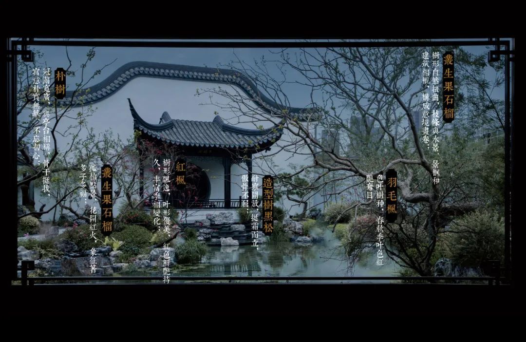 上海普陀建发 · 苏河望