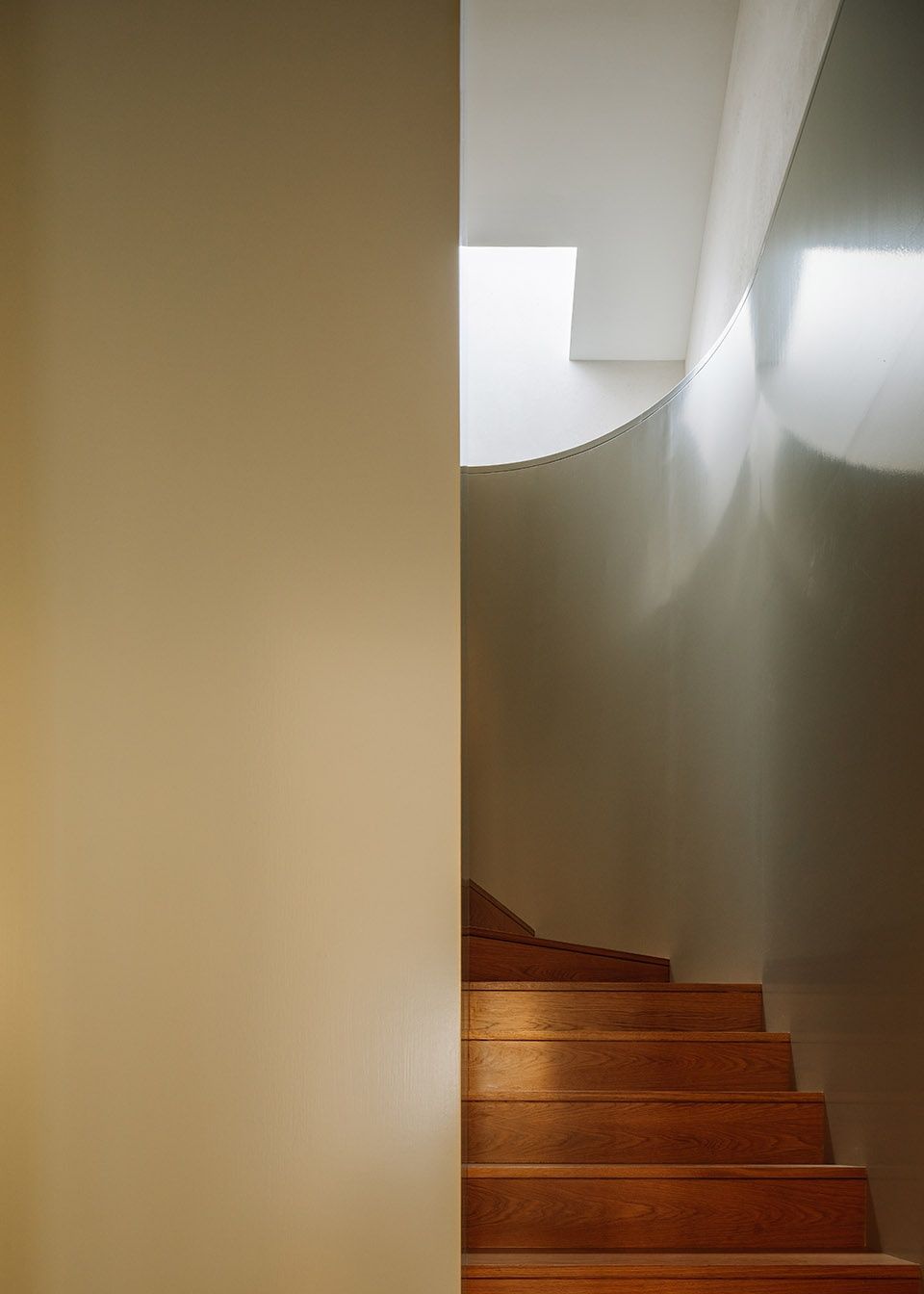 Bak Gordon Arquitectos | Ricardo Bak Gordon 花园中的花园