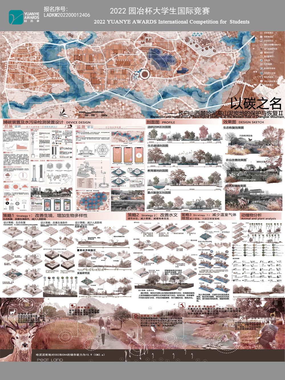以碳之名——长白山西麓哈泥高山泥炭地的保护与恢复