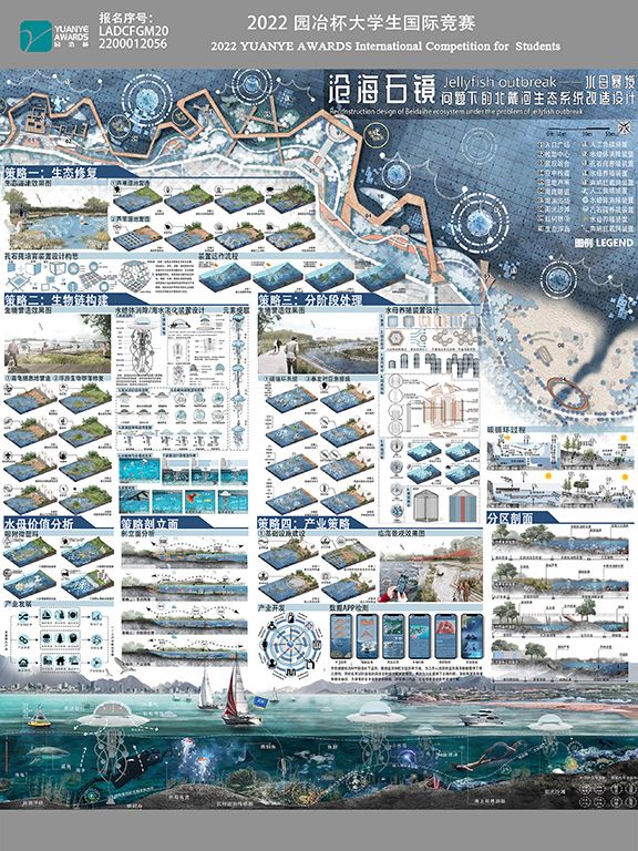 “沧海石镜”——水母暴发问题下的北戴河生态系统改造设计