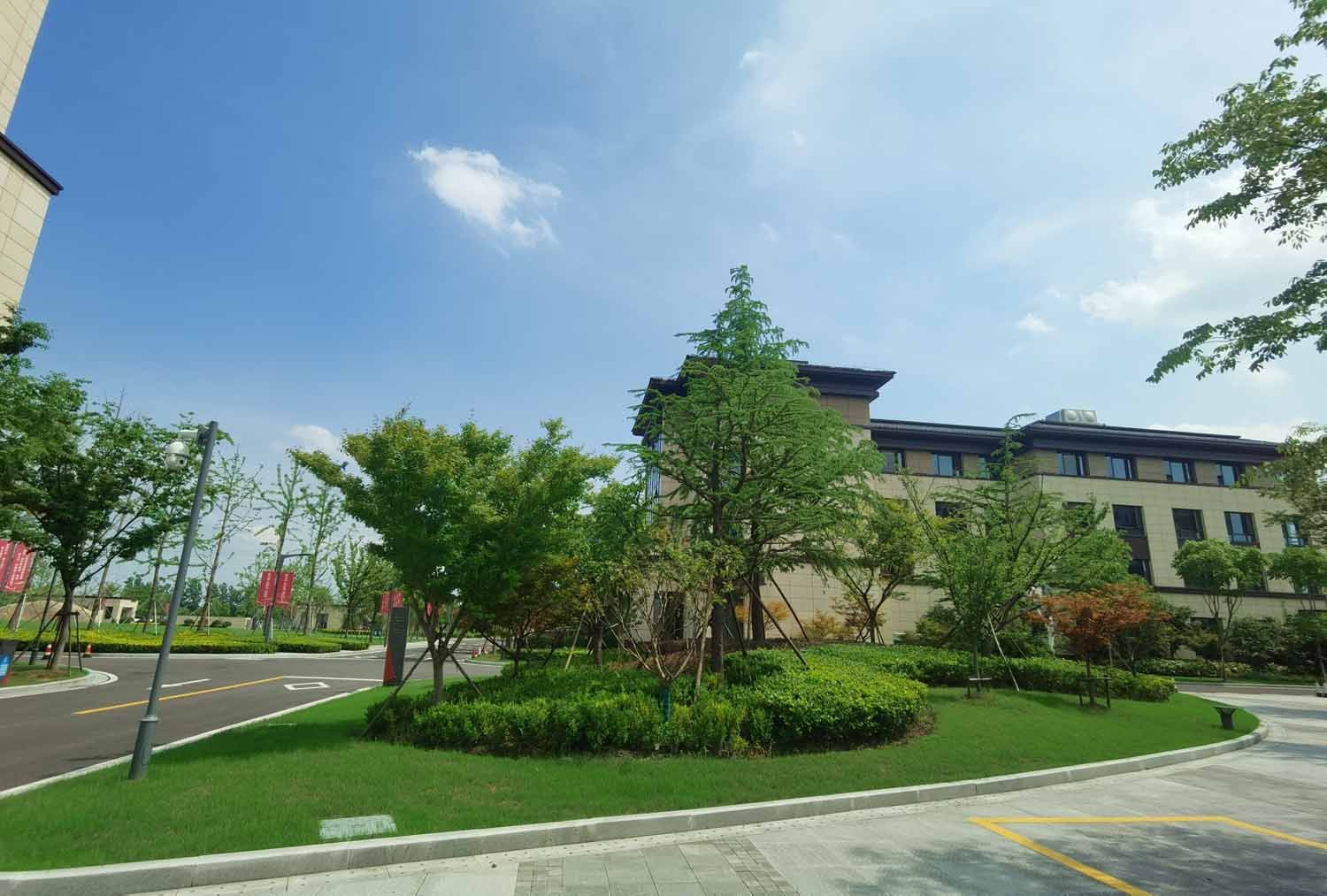 320517218201地块商业服务业设施用房项目绿化景观工程