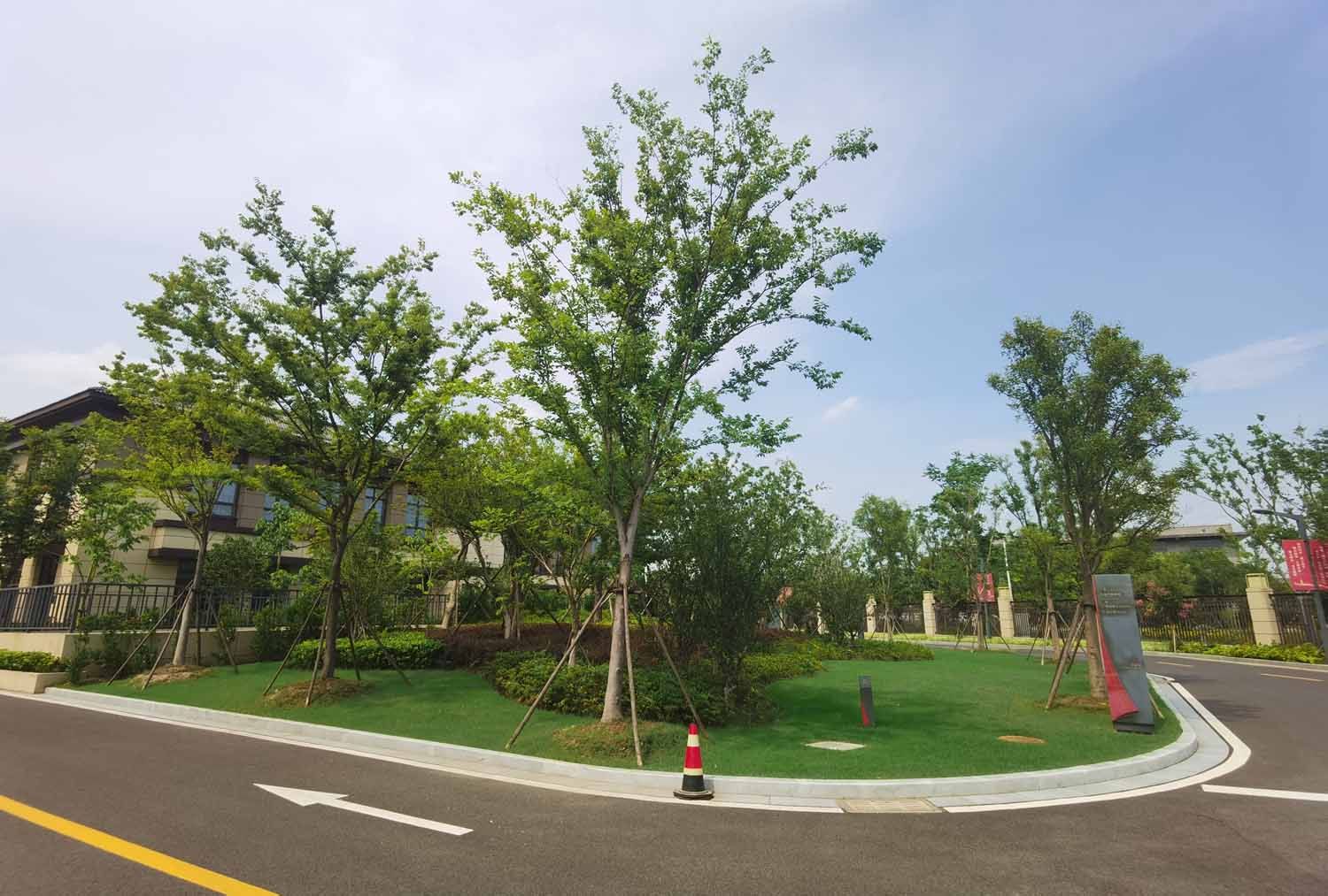 320517218201地块商业服务业设施用房项目绿化景观工程