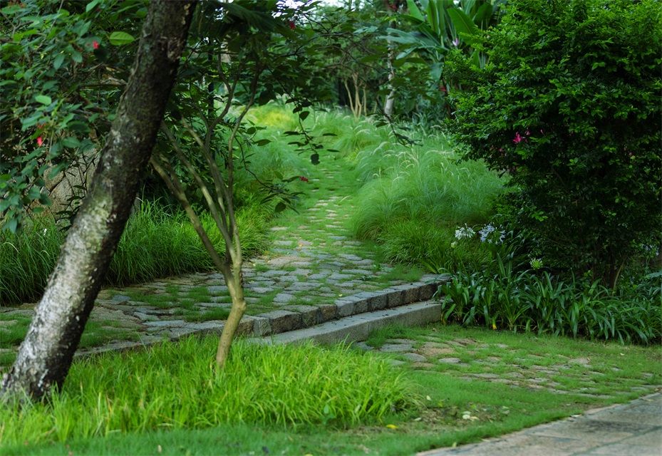 鹭潮•鼓浪屿美院