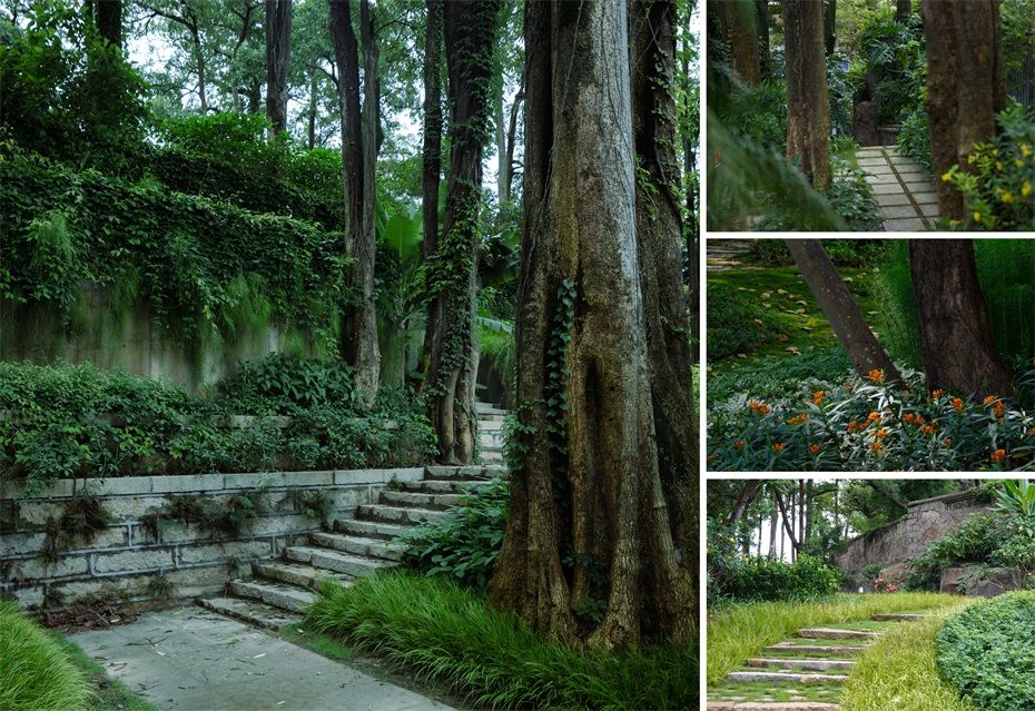 鹭潮•鼓浪屿美院