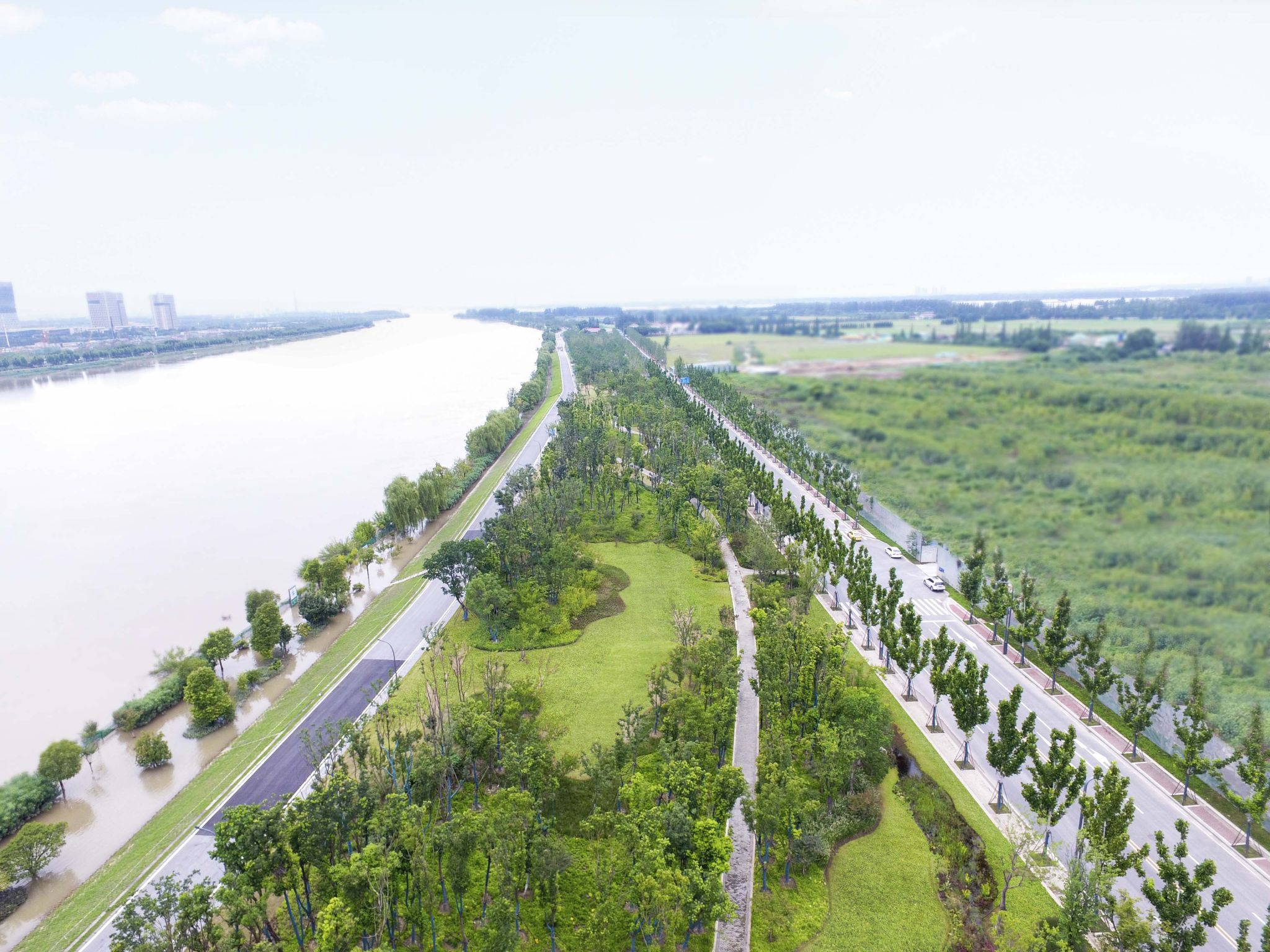 新加坡·南京生态科技岛滨江风光带夹江侧南段景观