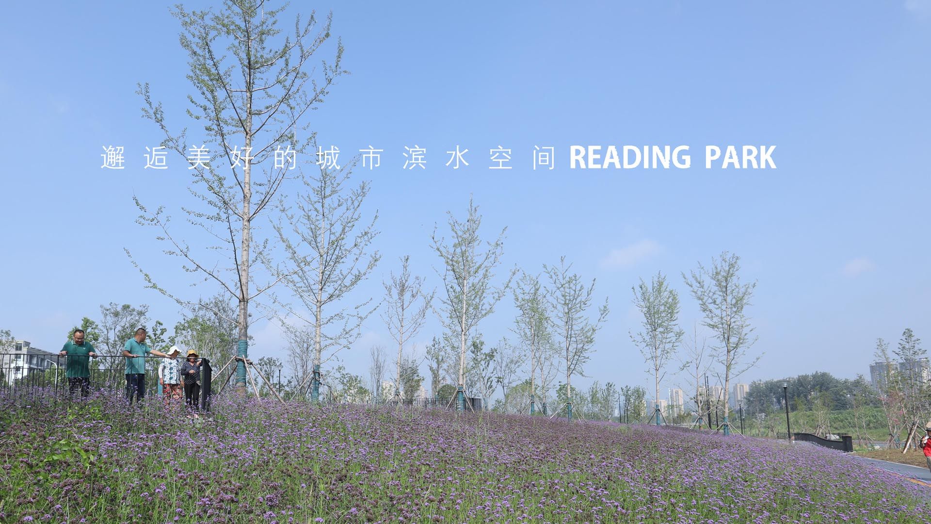 徐州顺堤河公共景观项目 （清风路-金沙路段）城市阅读艺术公园