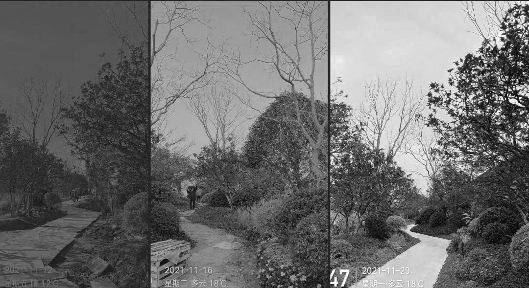 龙湖·景璘府