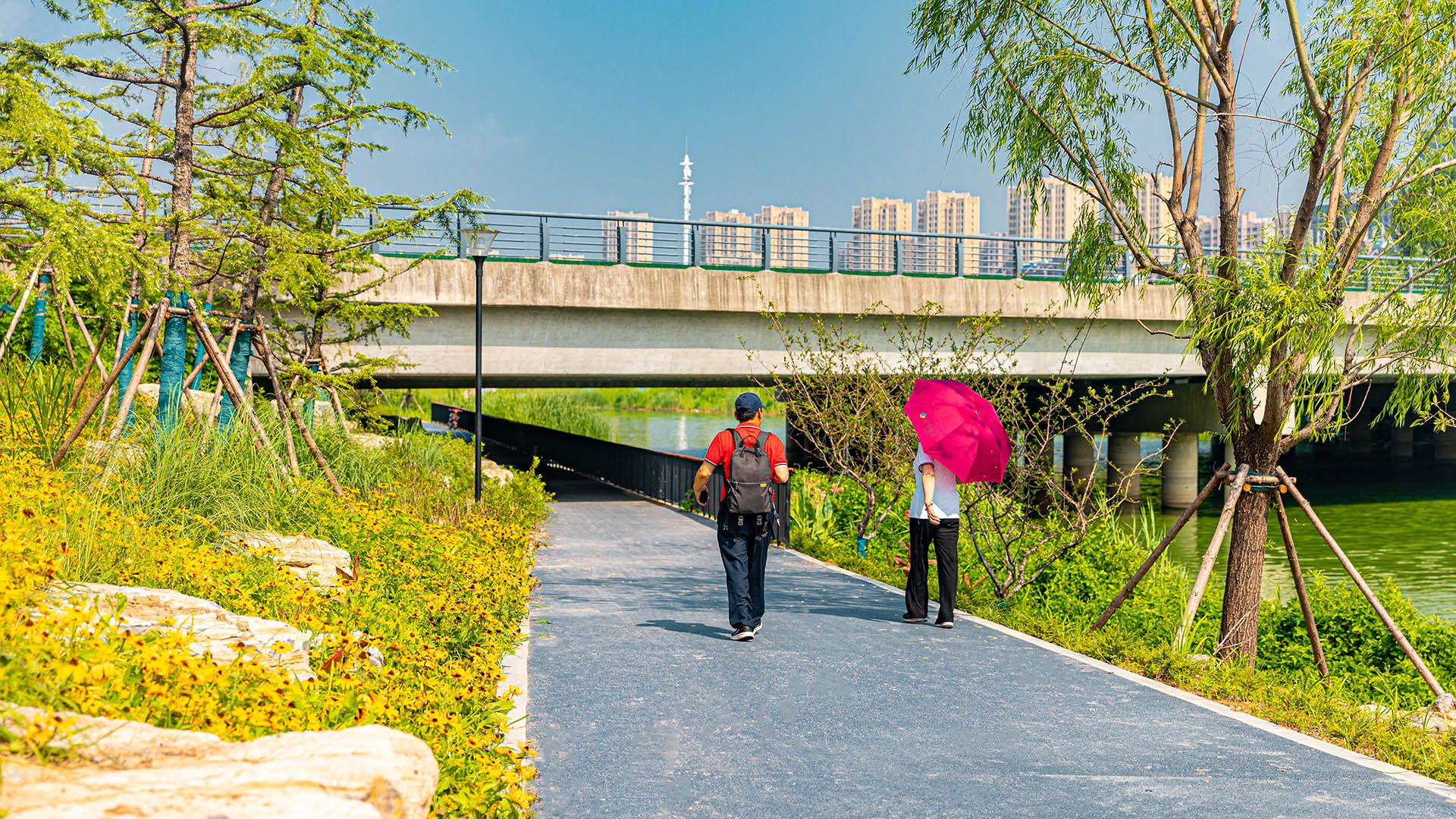 徐州顺堤河公共景观项目 （清风路-金沙路段）城市阅读艺术公园