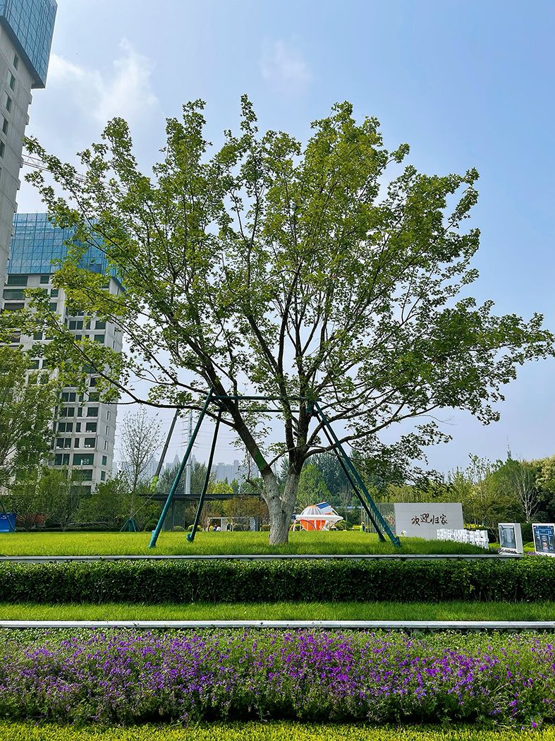 石家庄桂语听澜项目展示区景观工程