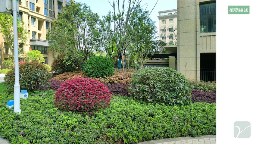 武汉泛悦城项目二期住宅及商业园林景观工程