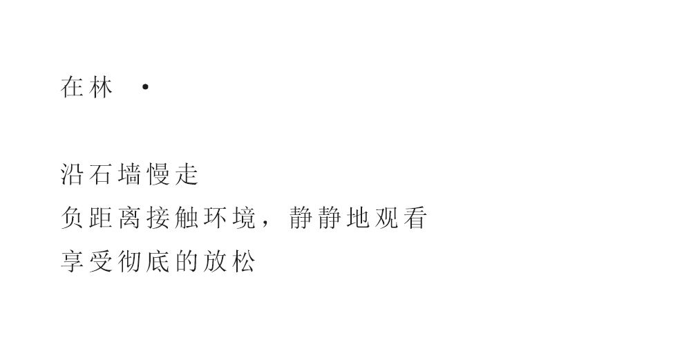 中冶 · 长城十里春风镇