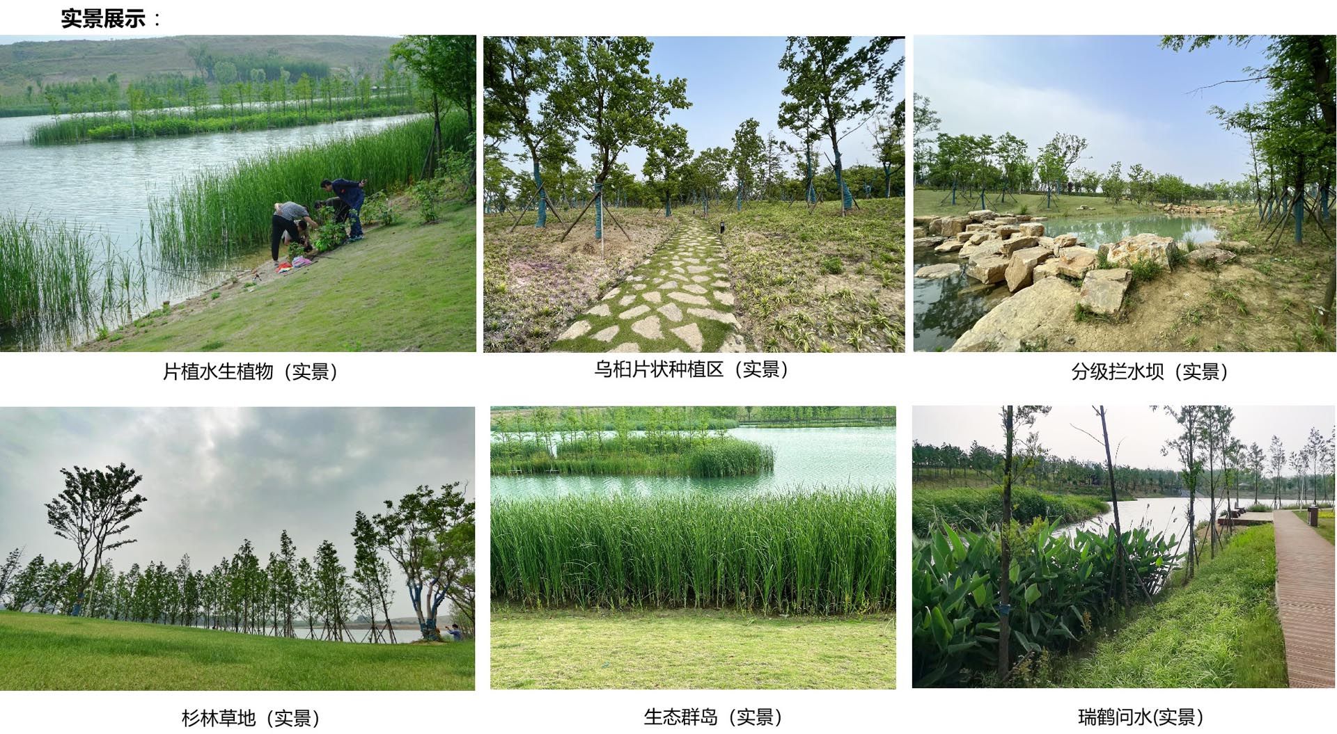 霍山县单龙寺白鹤州公园景观规划设计