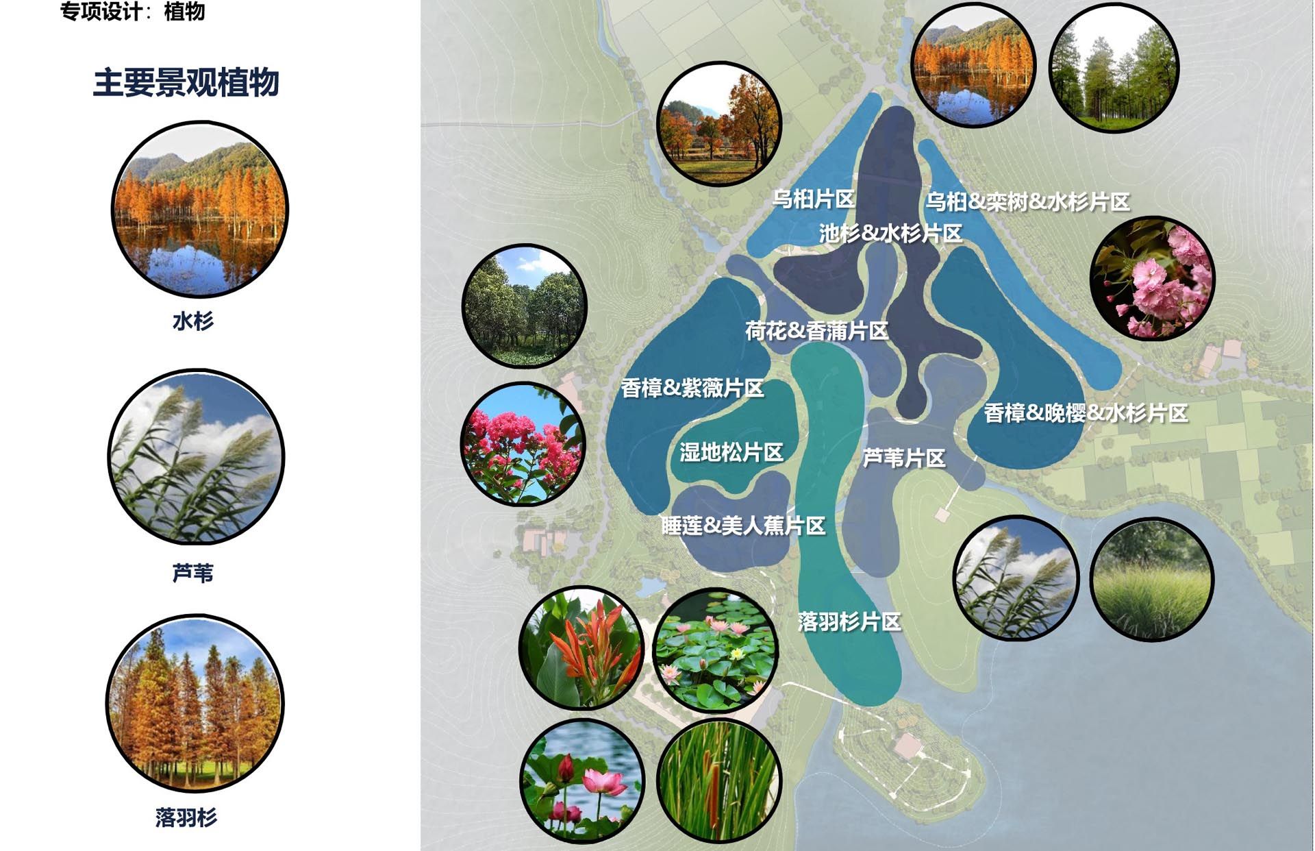 霍山县单龙寺白鹤州公园景观规划设计