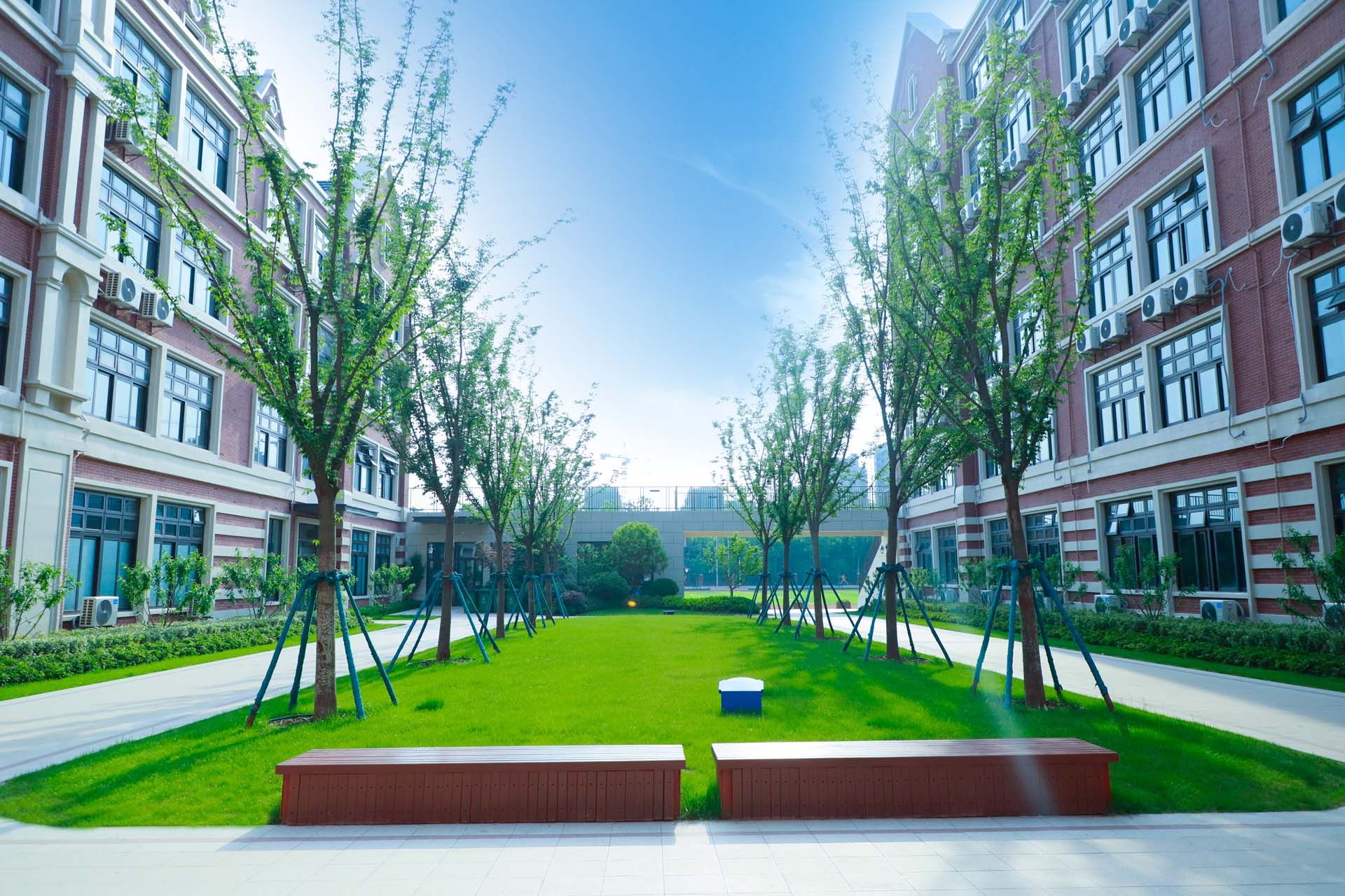 合肥新华北城外国语学校景观工程