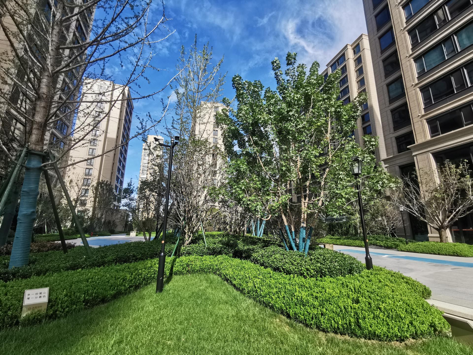 青岛绿城理想之城B-3-4八期二标北地块室外景观工程