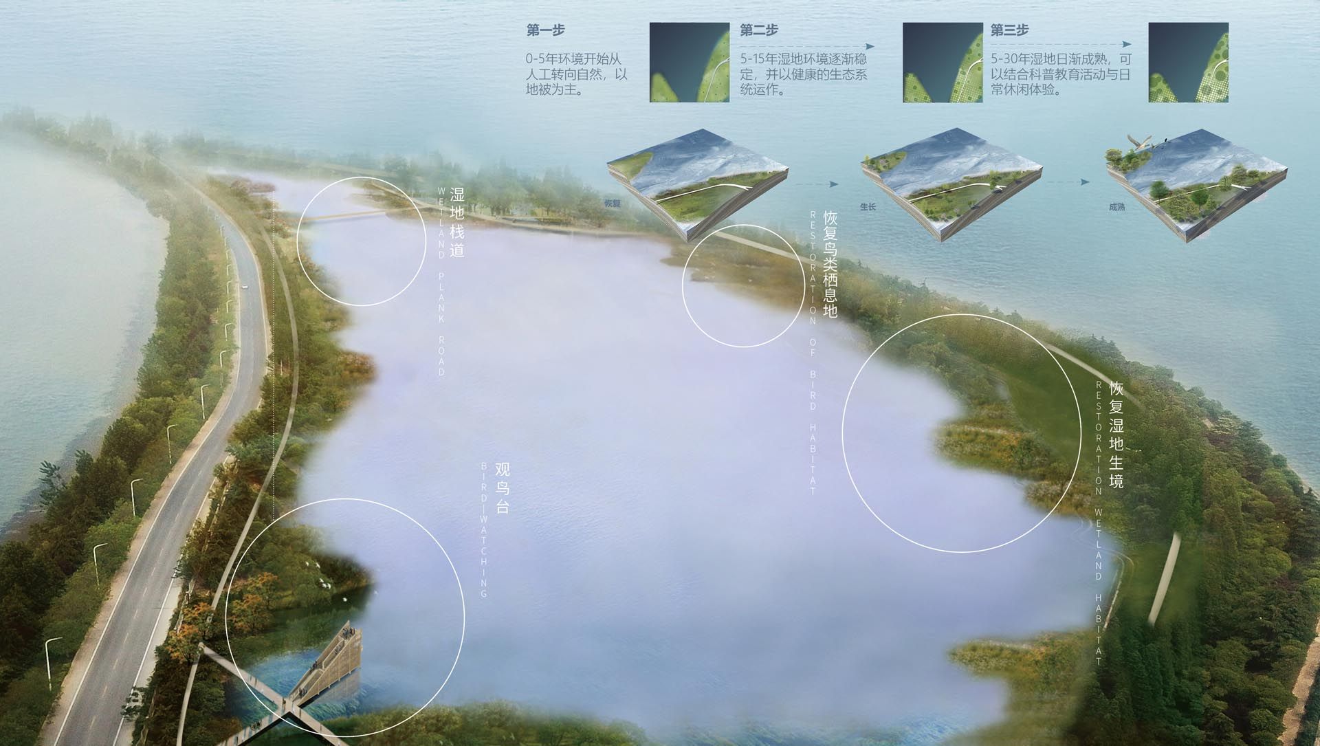 骆马湖南岸水环境生态修复工程