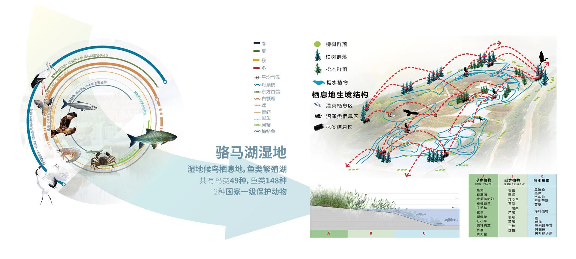 骆马湖南岸水环境生态修复工程