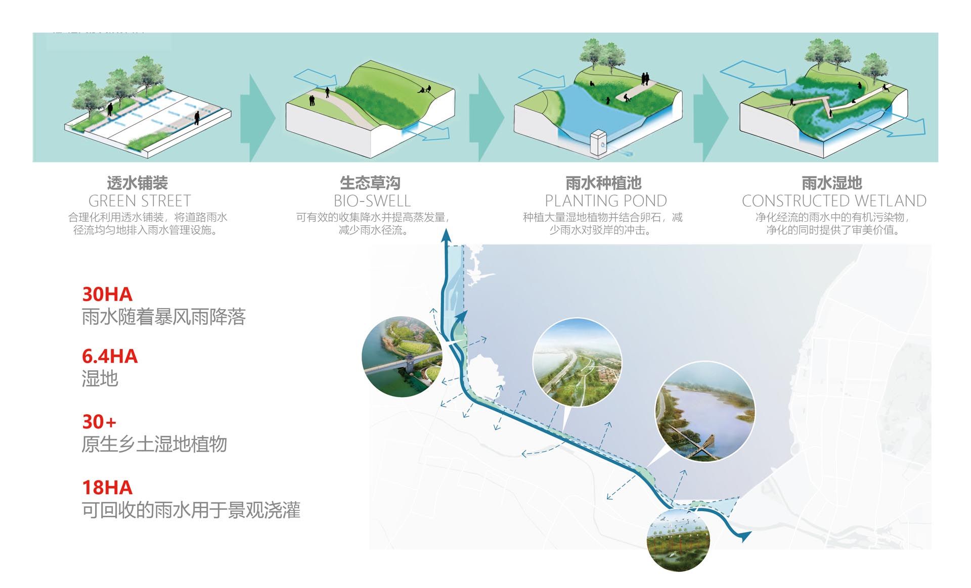 骆马湖南岸水环境生态修复工程