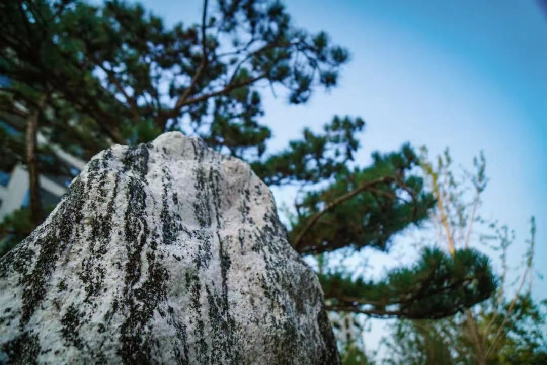 中岳城.观唐