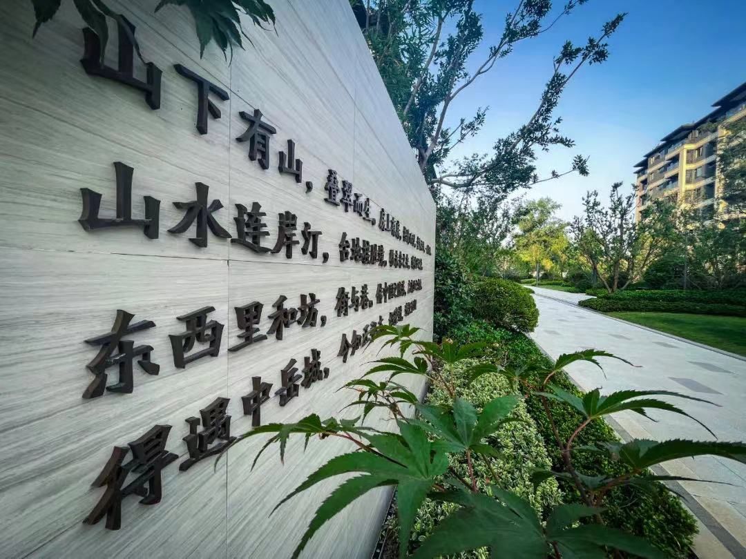 中岳城.观唐