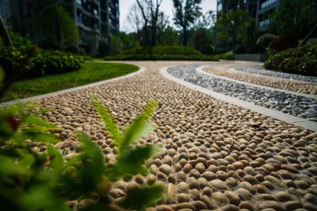 中岳城.观唐