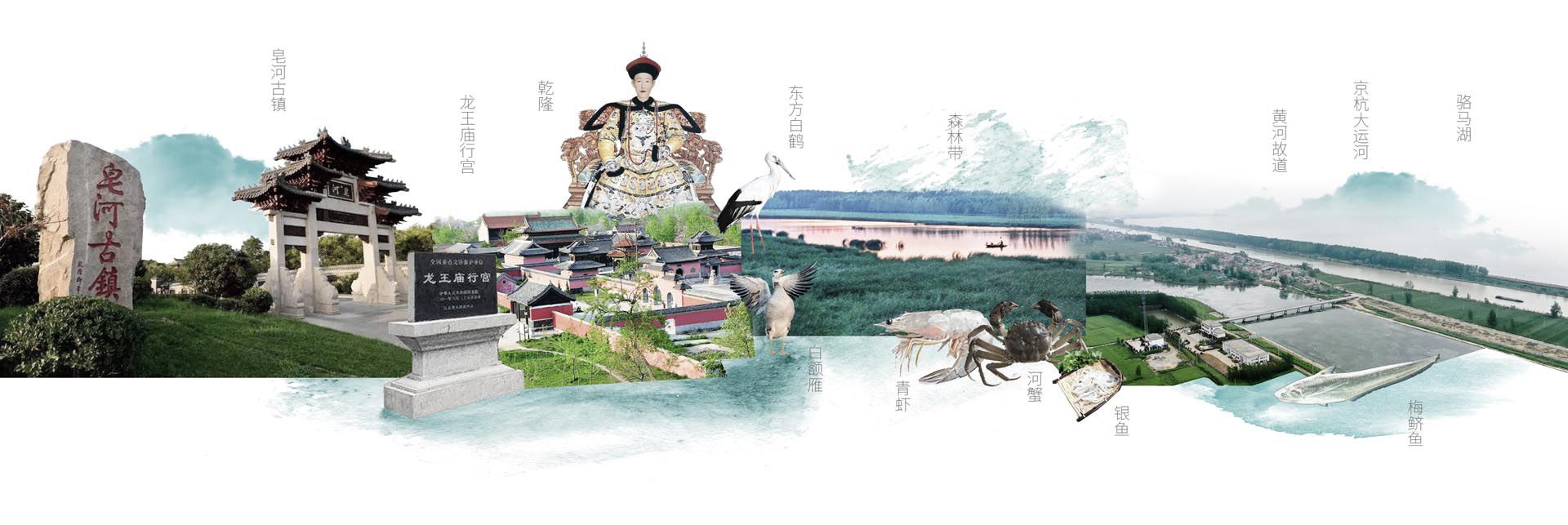 骆马湖南岸水环境生态修复工程