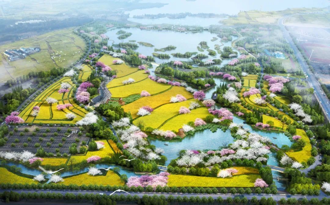 湖海塘公园复耕改造工程