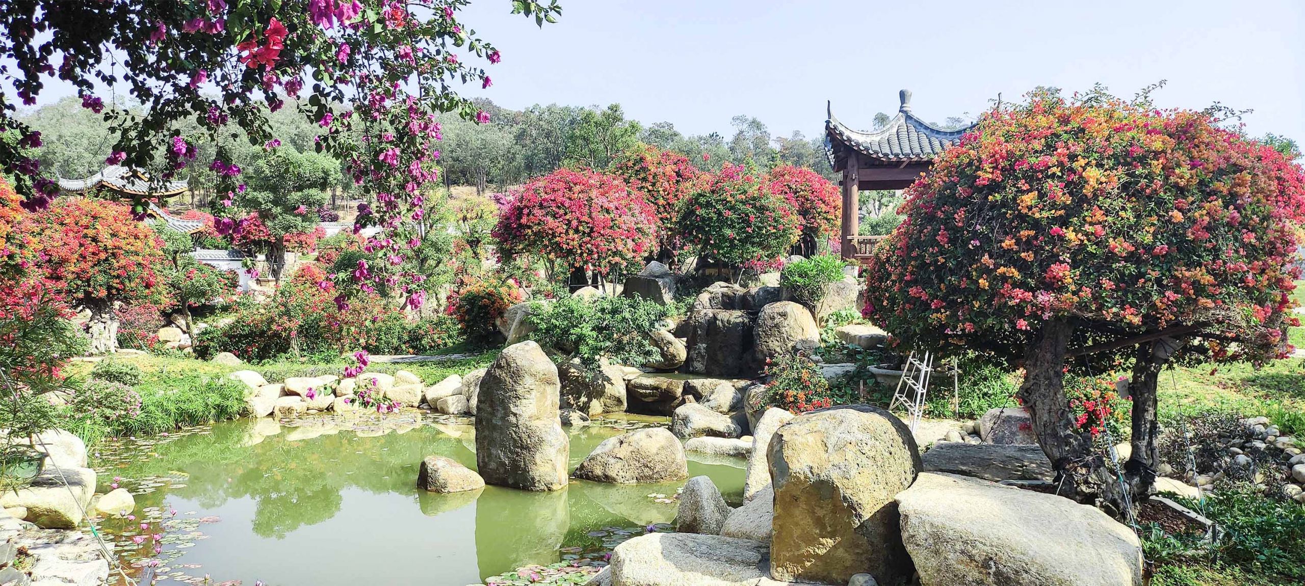 广州花都马岭喜花里活力休闲港