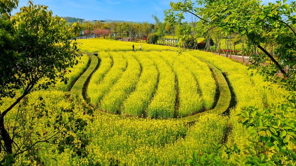 湖海塘公园复耕改造工程