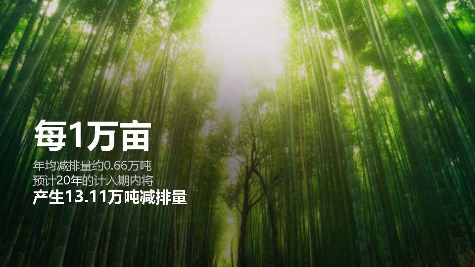 宜宾户外竹主题自然博览园