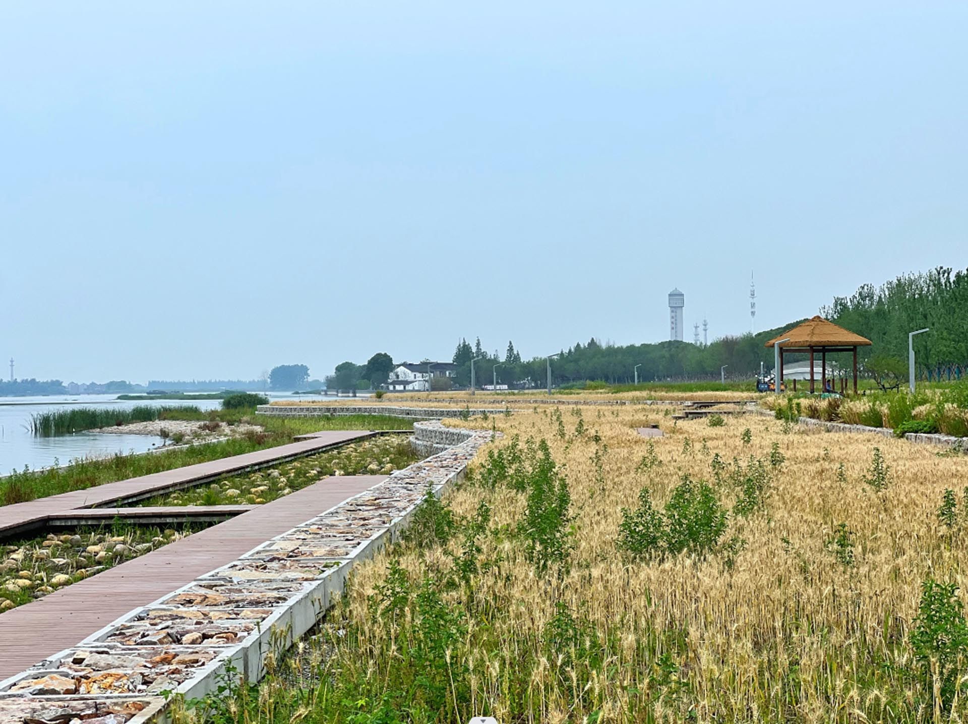 太浦河沪湖蓝带计划汾湖段一期综合整治提升工程总承包