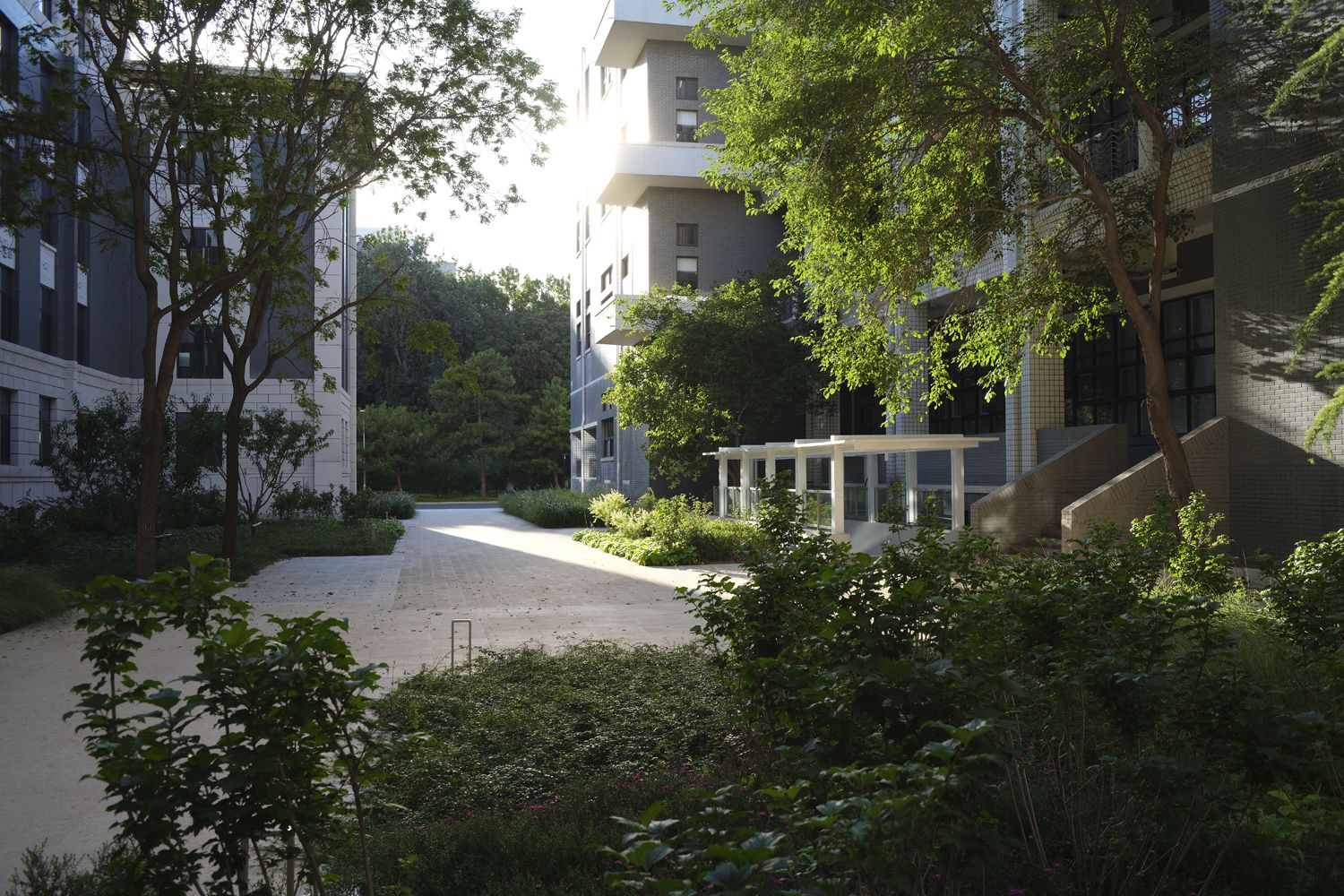 北京航空航天大学学院路校区主楼群室外景观工程