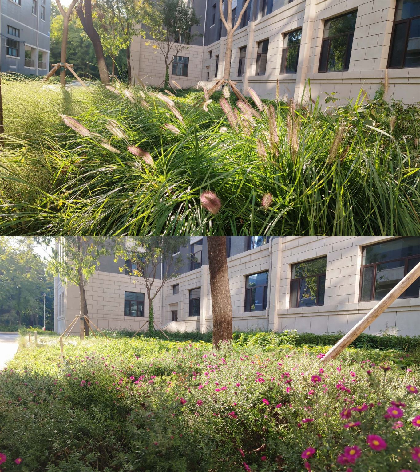 北京航空航天大学学院路校区主楼群室外景观工程