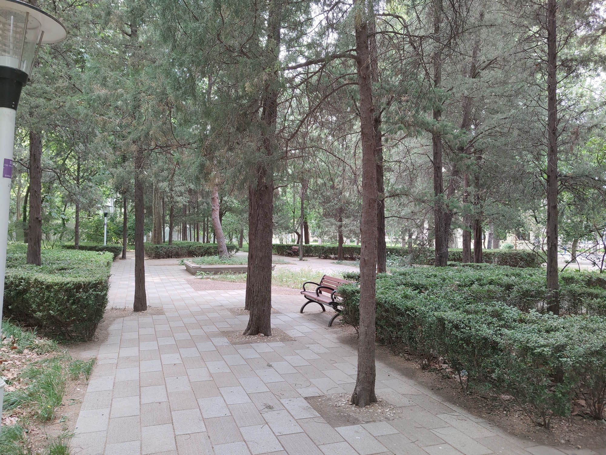 北京航空航天大学学院路校区主楼群室外景观工程