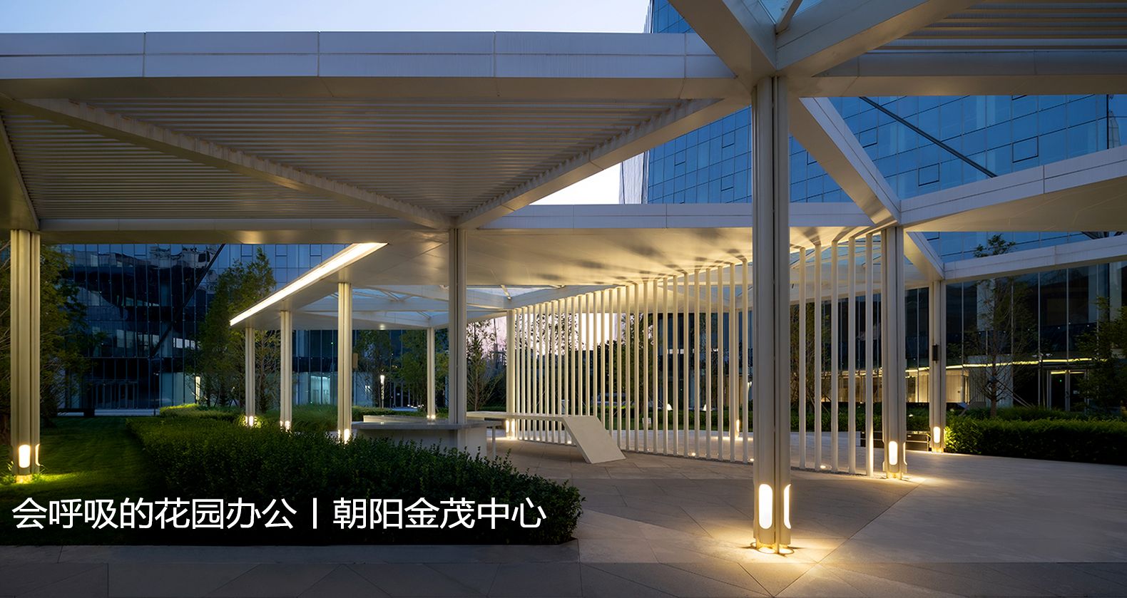 北京朝阳金茂中心