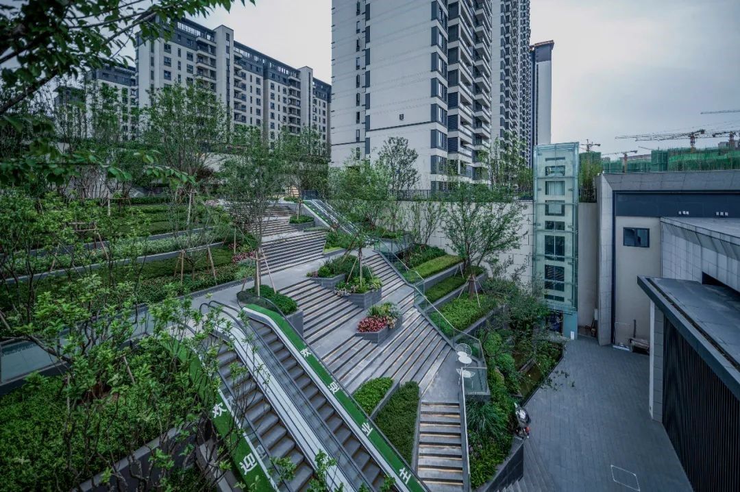 简阳 旭辉 碧桂园 新希望 锦官天宸