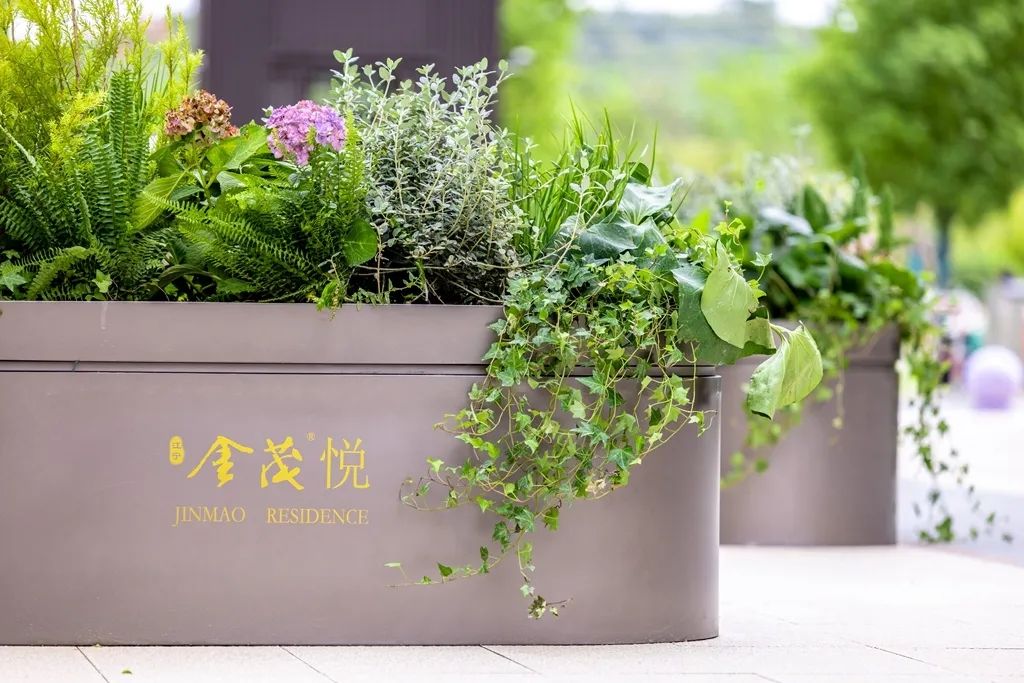 南京金茂悦（二期）
