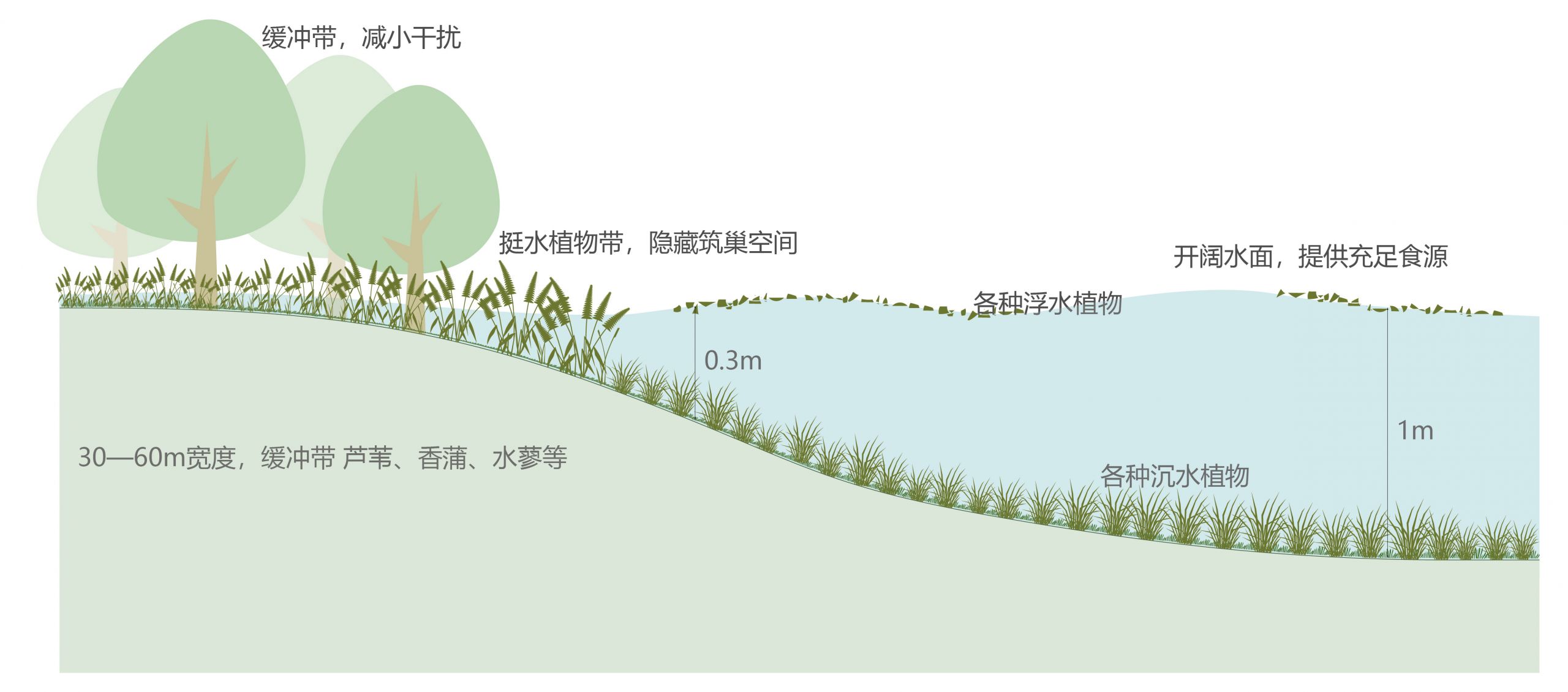 马銮湾新城集美片区水生态修复工程(二期)