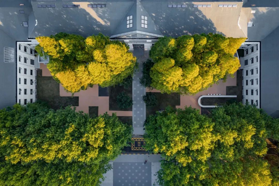 南京金地·梧桐里