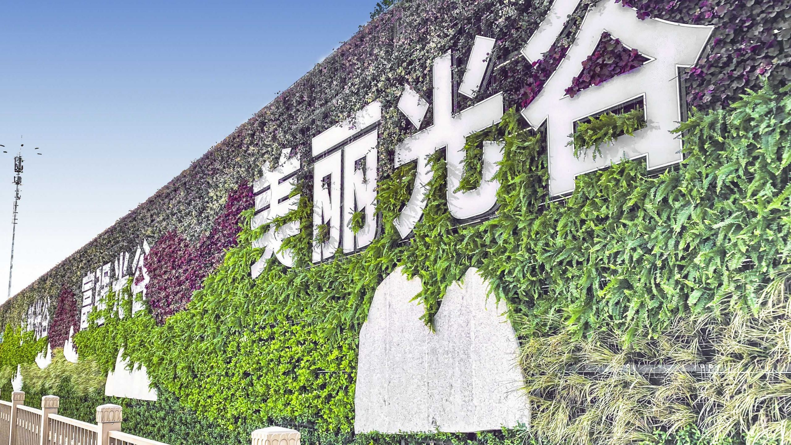 高新大道综合改造工程